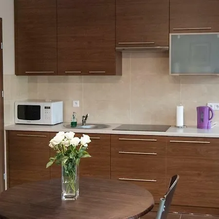 公寓 Apartamenty Gizycko 吉日茨科