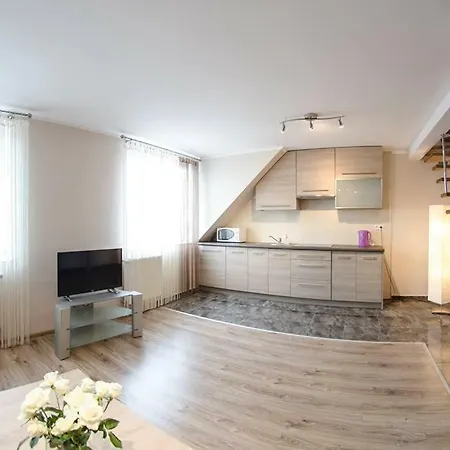 Apartamenty Gizycko * 吉日茨科