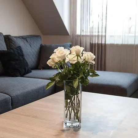 Apartamenty Gizycko 公寓