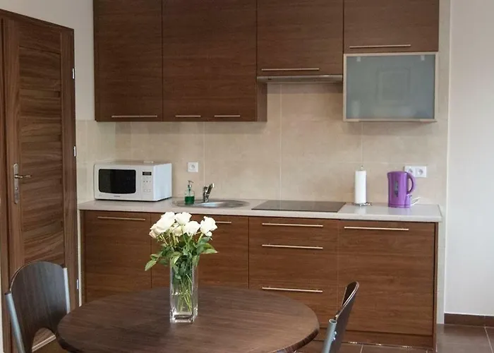 Apartament Apartamenty Giżycko Giżycko